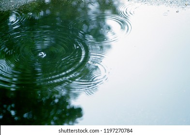 Ripple Effect In Water Pool In The Park. Physics Action Of Rain Drops On Tree Top Reflection In Water. Different Concentric Water Circles. Copy Space For Text