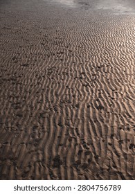 Rippled sand patterns with shallow pools, low tide tidal flats under warm light, intricate textures and rhythmic lines, small