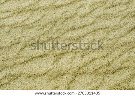 Rippled wavey patterns in the sand after the tide has gone out,a  simple and clean texture of soft yellow beach sand with gentle ripples made by the wind.