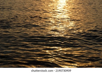 The Rippled And Wavy Surface Of The Sea In Golden Color With The Shine Of The Sun Rays On The Gold Surface