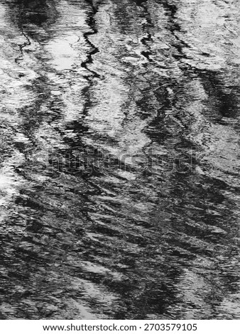 the ripples on water surface with water reflection of tree in the pond, black and white style          