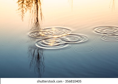 Ripples In The Pond