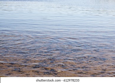 Ripples In Shallow Water At Beach