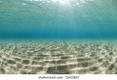 Ocean Floor Images Stock Photos Vectors Shutterstock