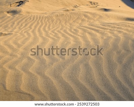 Rippling sand dunes create a mesmerizing pattern on the surface, showcasing the natural beauty of wind-sculpted textures in a desert landscape