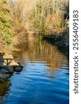 Rippling water in Des Moines Creek in Washington State.