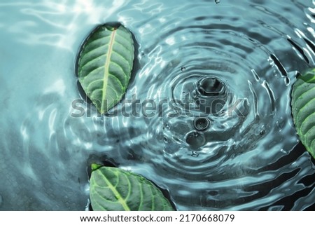 rippling water with leaves on it, rainy season. 
