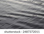 Rippling water pattern at sunset. The river Vltava closeup in the Czech Republic. Black and white.