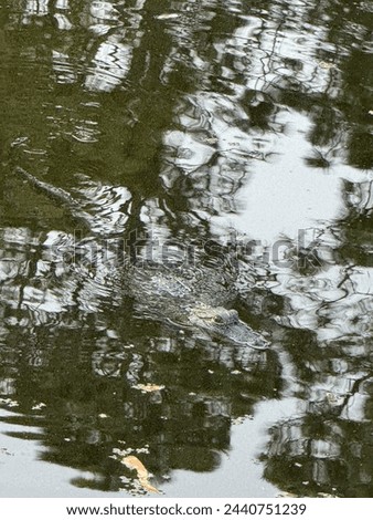 Rippling water with tree reflections and a partially submerged alligator, its watchful eyes and snout peeking above the surface.