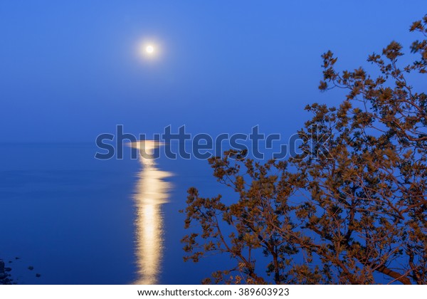 Rise of the full moon over the sea in the blue\
dusk. Crimea, Black sea,\
Alupka