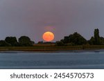 rise of a super moon over the shore of the river Weser seen from Kleinensiel (Germany)