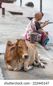 RISHIKESH, INDIA - OCTOBER 5, 2014 : Unidentified people and cow sit on the ghat along the Ganges river. Poor Indians flock to Rishikesh for charity.