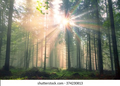 After Rain High Res Stock Images Shutterstock