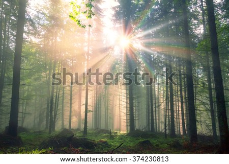 Similar – Image, Stock Photo Sunrise after rain