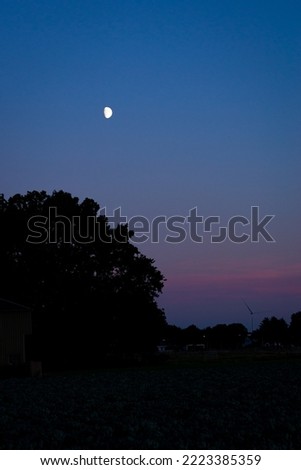 Rising almost full moon in a purple blue sky