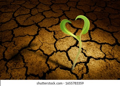 Rising Sprout Plant Growing In Heart Shape From Cracked Earth, New Life And Enviromental Friendly Concept