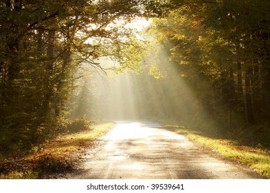 Rising sun falls on the road leading through the autumn woods.