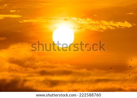 Rising sun with little birds.
