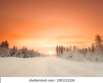 Rising Sun. Snow Landscape In Lapland, Sweden. Orange Sky Above Conifers In White Winter Scene. Beautiful Nature Christmas Scenery.