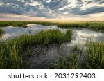 Rising tide in grassy marsh with dried soil texture