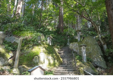 Risshaku-ji Temple at Yamadera, Yamagata, Japan. Serene forest pathway with stone steps and lush greenery. - Powered by Shutterstock