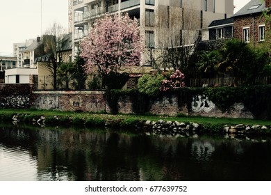 the river