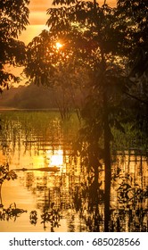 River In The Amazon Rainforest At Dusk, Peru, South America 