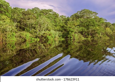 River In The Amazon Rainforest, Peru, South America