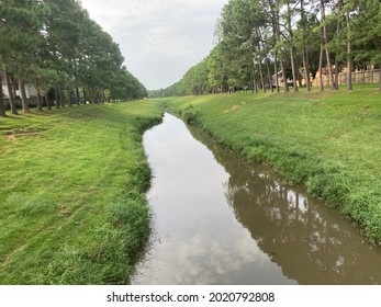 River among grass and trees
