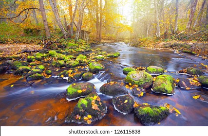 river in autumn forest - Shutterstock ID 126115838