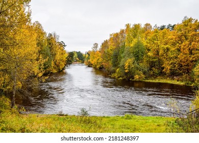 River in the autumn forest. Autumn forest river landscape. River in autumn forest. Autumn river in forest - Powered by Shutterstock