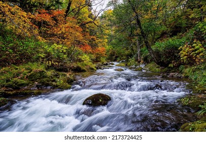 A river in the autumn forest. Forest river autumn landscape. Fast river in autumn forest. Autumn forest river - Shutterstock ID 2173724425