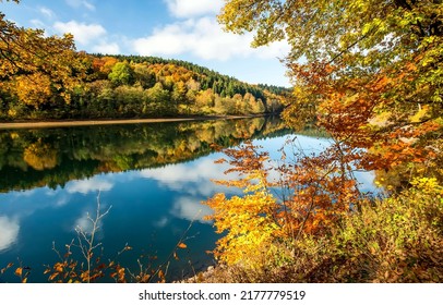 River in the autumn forest. Autumn forest river landscape. Autumn river reflection. Forest river in autumn - Shutterstock ID 2177779519
