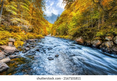 River In The Autumn Forest. Autumn Forest River View. River Flowing In Autumn Forest. Forest River In Autumn