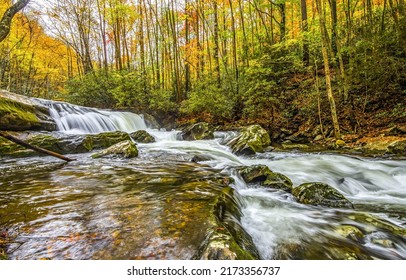 River in the autumn forest. Autumn forest river. River waterfall in autumn forest. Forest river in autumn - Shutterstock ID 2173356737