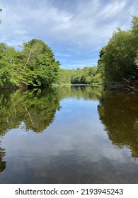 River Ayr On A Summers Day