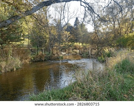 River babbling Brook in a park