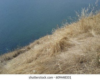 River bank