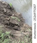 River bank erosion often occurs along meander bends such as this one on the Lucina River in Czech republic
