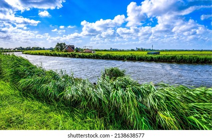River bank with lush green grass. Summer river grass. River grass on river shore - Shutterstock ID 2138638577