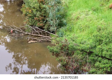 River Bank Of Werribee River