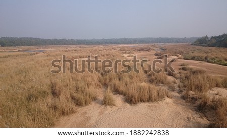 River basin of a Dried river. It is the basin of Barathapuzha river in Ottapalam, Kerala, India. It is orginated from anamalai in tamilnadu.