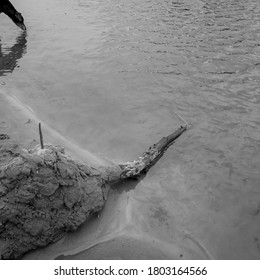 River Beach With Dog And Sandcastle.