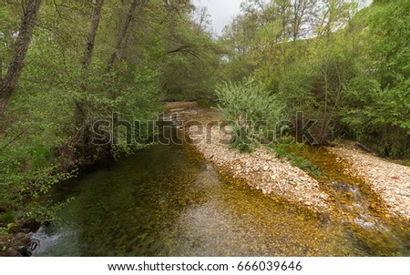 River with bed of boulders and clear water running between groves. River Duerna