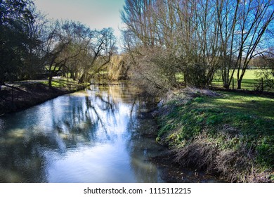 River between tree