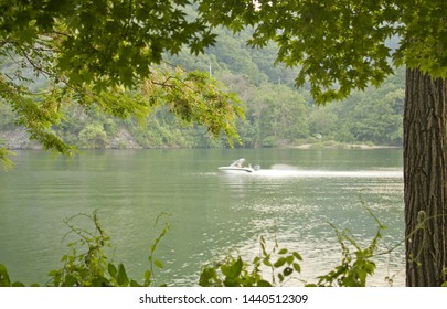 A river between trees and branches.