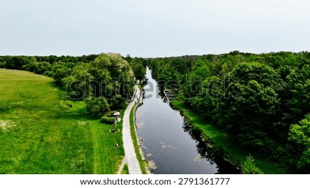 A river bisects a forest and leads all the way into the horizon.
