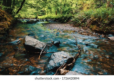 
River with blue reflection in the forest