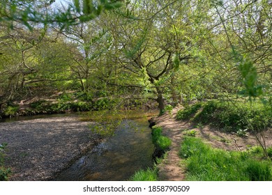 River Bollin, Wilmslow, Cheshire, Manchester, England, UK.