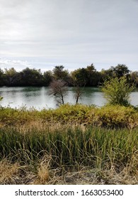 River In The California Delta